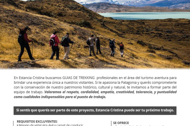 aviso-busqueda-laboral-05